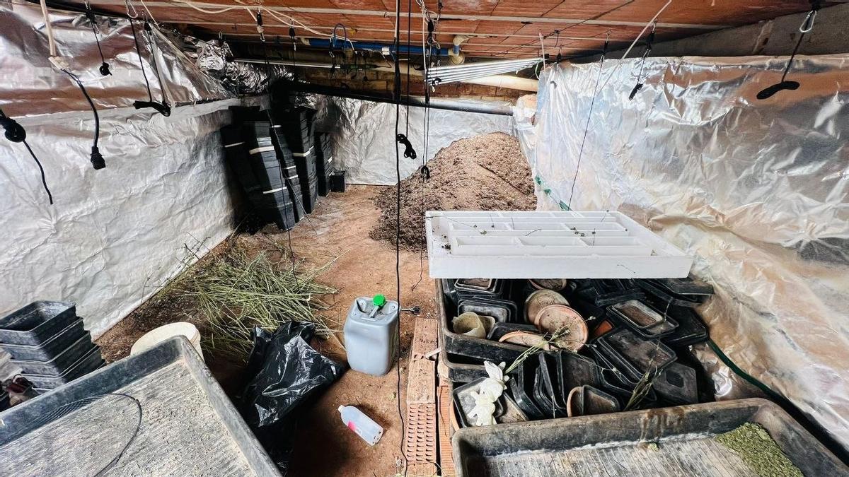 La plantació de marihuana desmantellada a Manresa