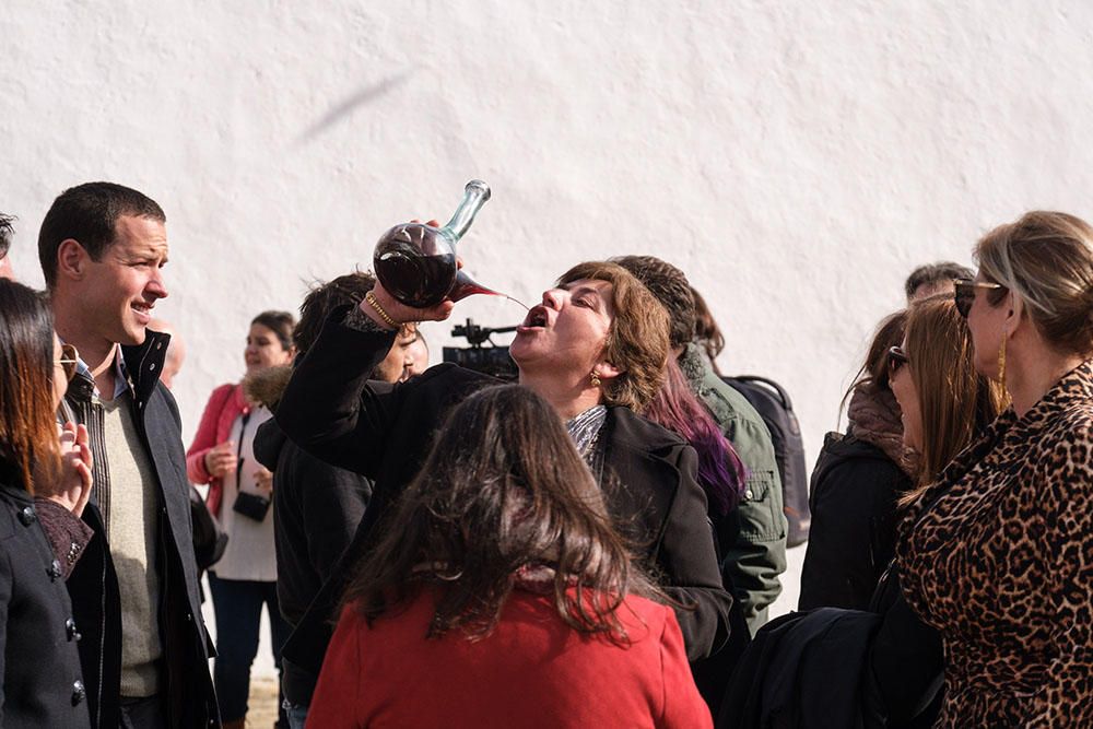 Fiestas de Santa Agnès