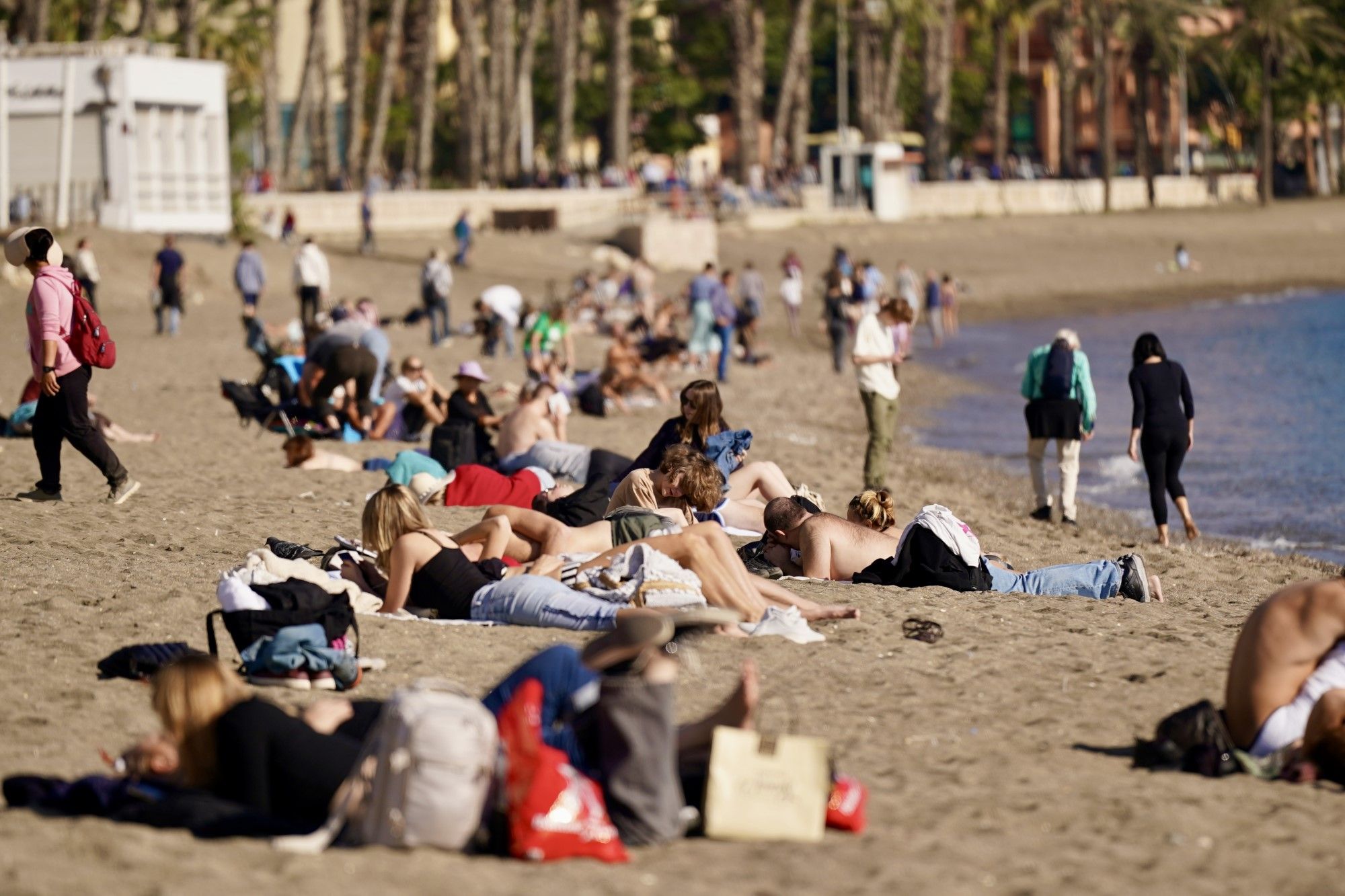 La Navidad en Málaga inspirada en la del hemisferio sur