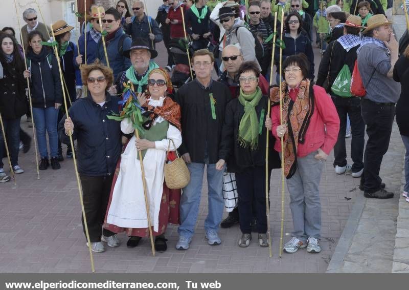 GALERÍA DE FOTOS - Romería Magdalena 2014 (4)