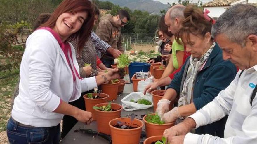 La Nucía fomenta los huertos urbanos entre sus vecinos