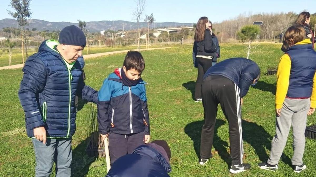 El parque de Levante acoge la plantación de 180 nuevos árboles.