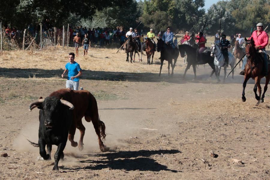 Encierro mixto en San Miguel de la Ribera