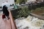 Viernes de lluvia, viento y nieve en Tenerife