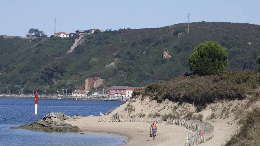 Los perros y los turistas, en el foco de las críticas de Zelúan: "La gente hace lo que les da la gana, no tienen cuidado de nada"