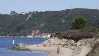 Los perros y los turistas, en el foco de las críticas de Zelúan: "La gente hace lo que les da la gana, no tienen cuidado de nada"