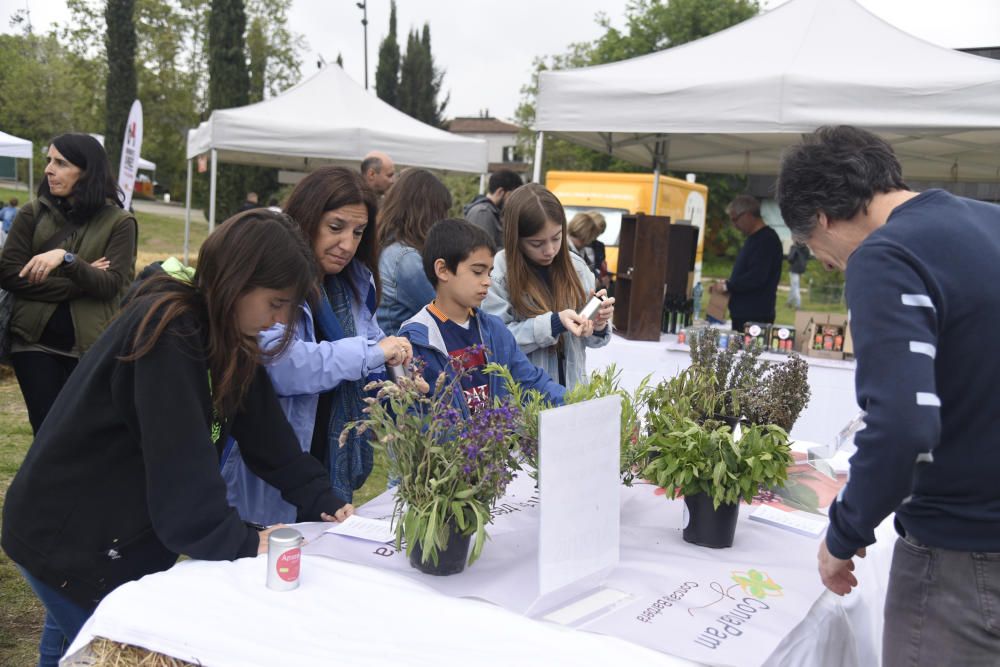 Festa de la Gastronomia Alicia't a Sant Fruitós de Bages