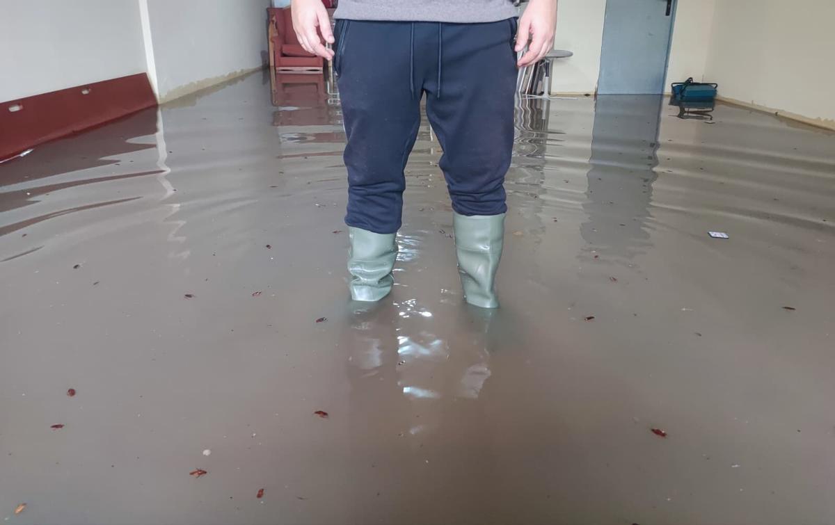 Detalle de por dónde llegaba el agua en un garaje en Molina con cucarachas flotando procedentes del alcantarillado.
