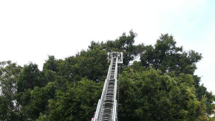 Los bomberos intervienen en la zona.