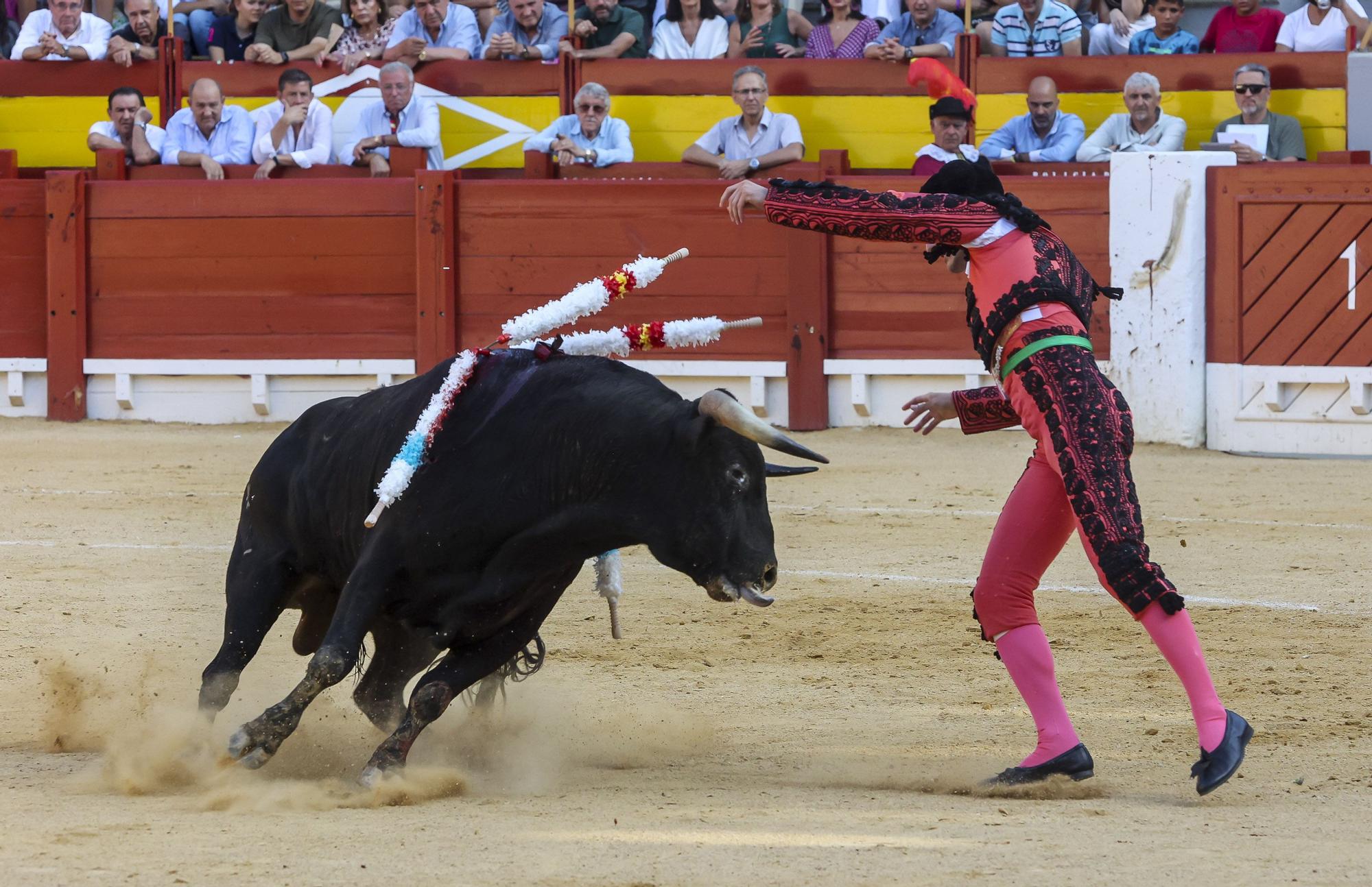 Novillada de Zacarías Moreno para cerrar la Feria de Hogueras