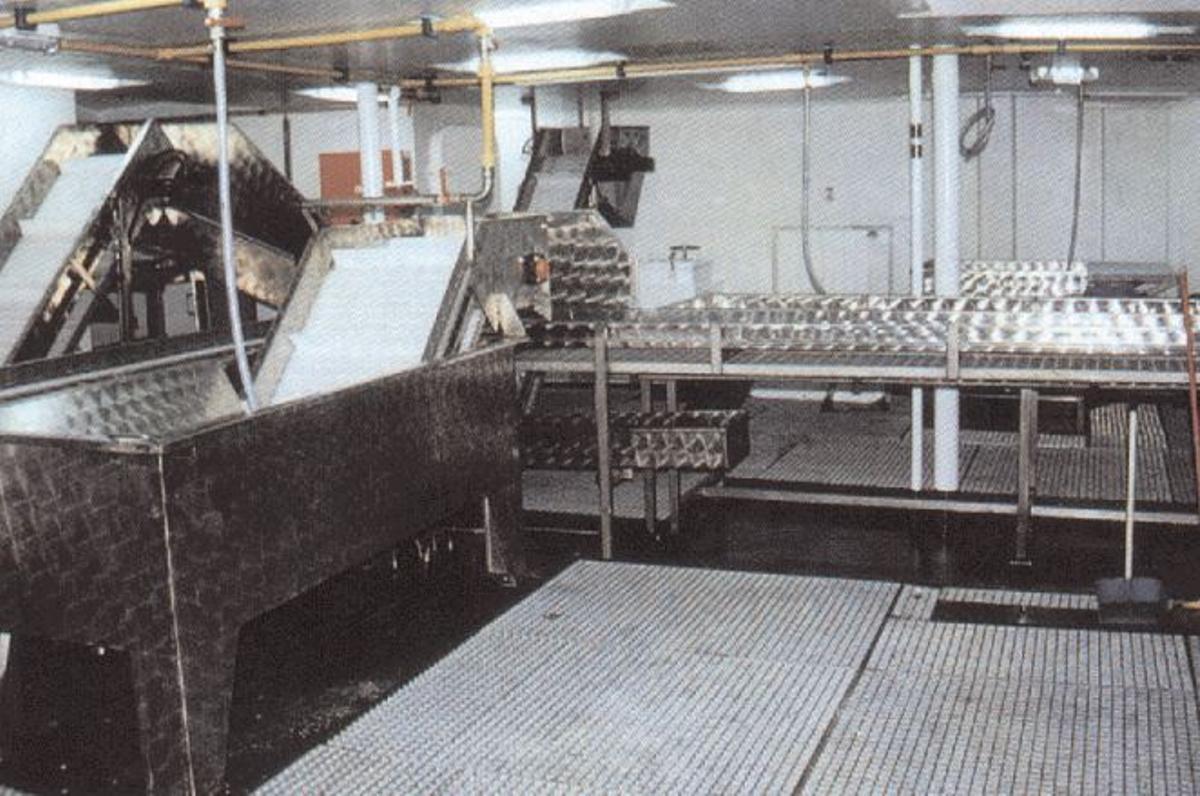 Imagen de archivo del parque de pesca del «Vizconde de Eza»