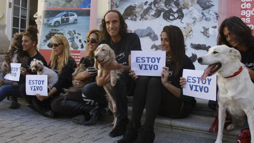 Miembros de El Refugio, acusación popular contra la protectora, en 2011 en la capital.