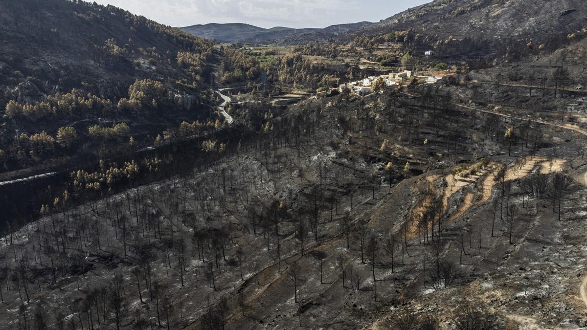 Vistas aeéreas de dron de la zona calcinada en Bejís