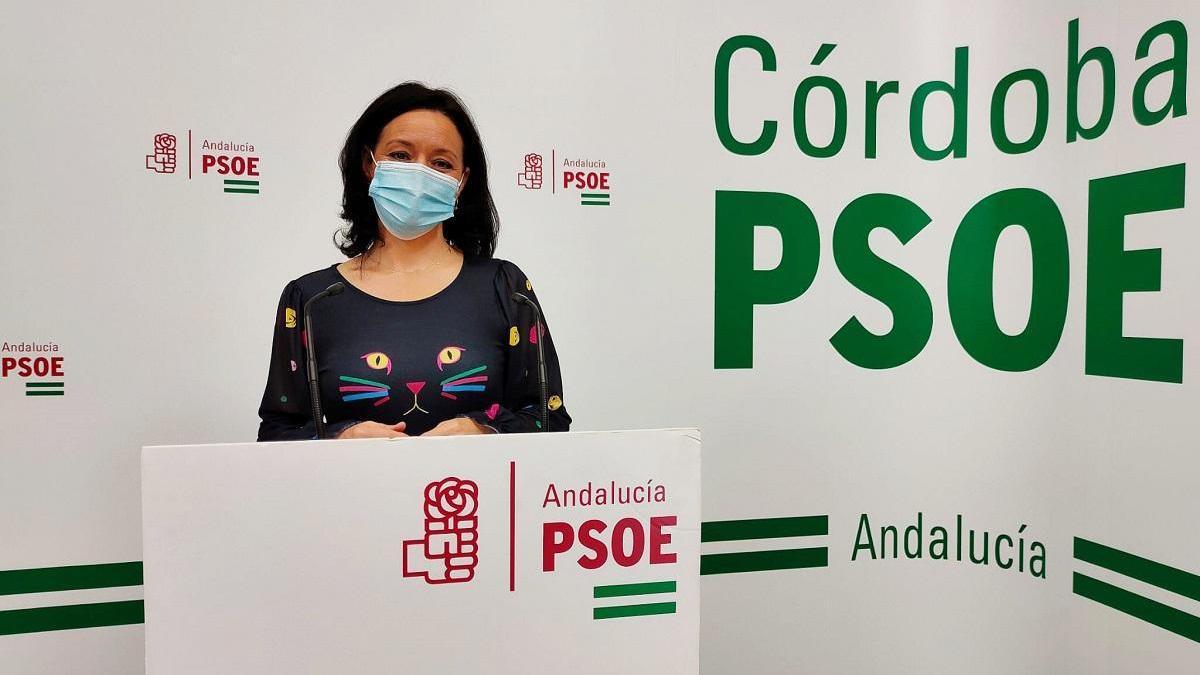 El PSOE propone la creación de un estatuto básico para los municipios pequeños