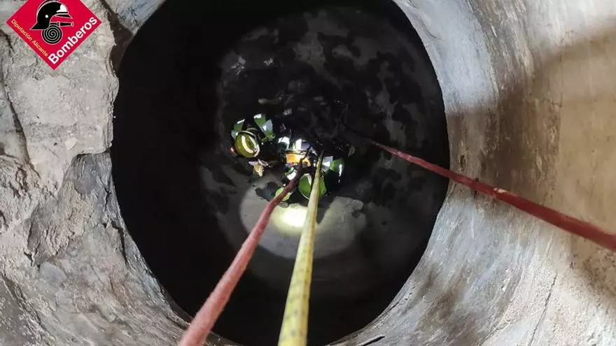 Así ha sido el rescate de un perro tras caer a un pozo de 9 metros en Pinoso