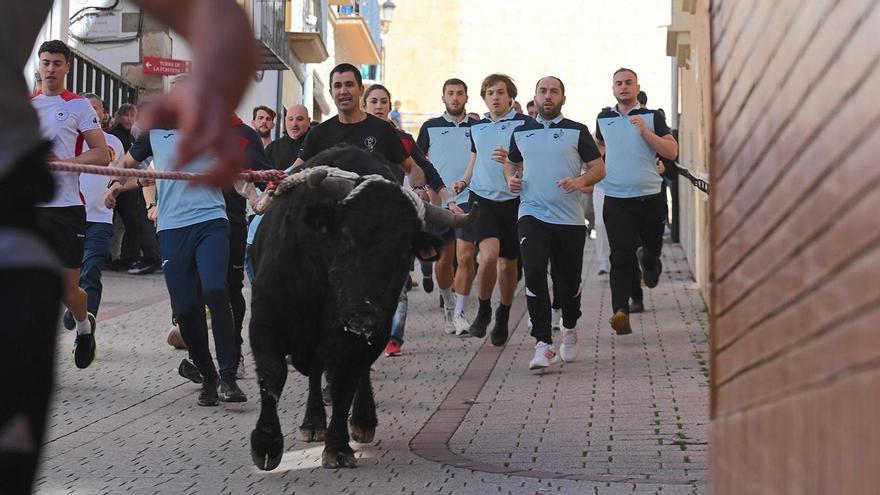 Bous a Albocàsser 2025