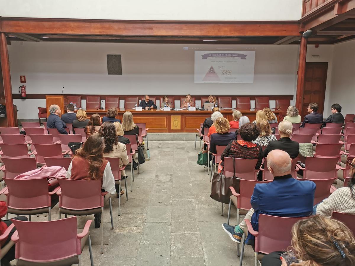 Jornadas de Abogacía en Igualdad, celebradas este jueves en el Colegio de Abogados de Las Palmas.