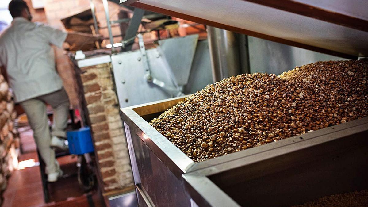 Grano en un molino de gofio de Tenerife.