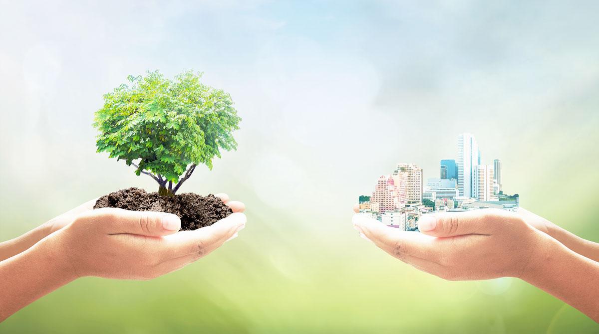 Les empreses amb més impacte en el medi ambient desenvolupen més polítiques ambientals