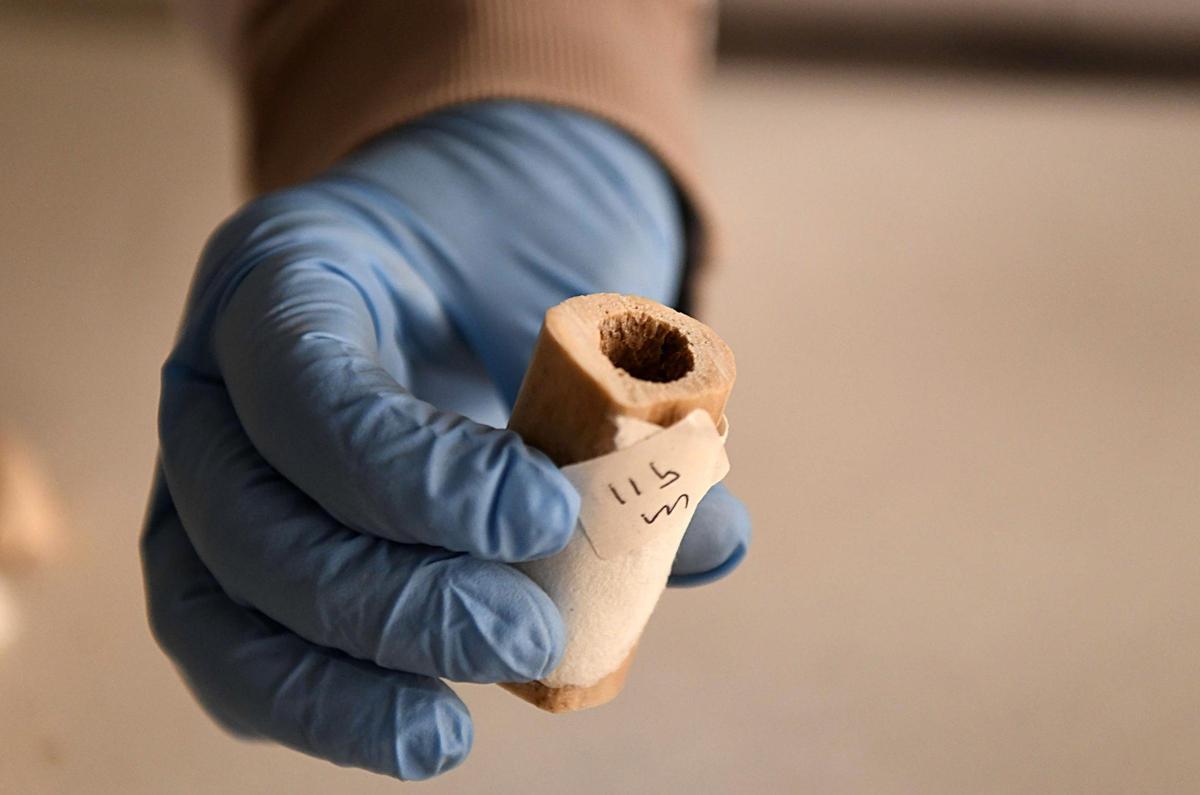 Detalle de un hueso sostenido por la forense Sánchez en el Instituto de Medicina Legal de Murcia.