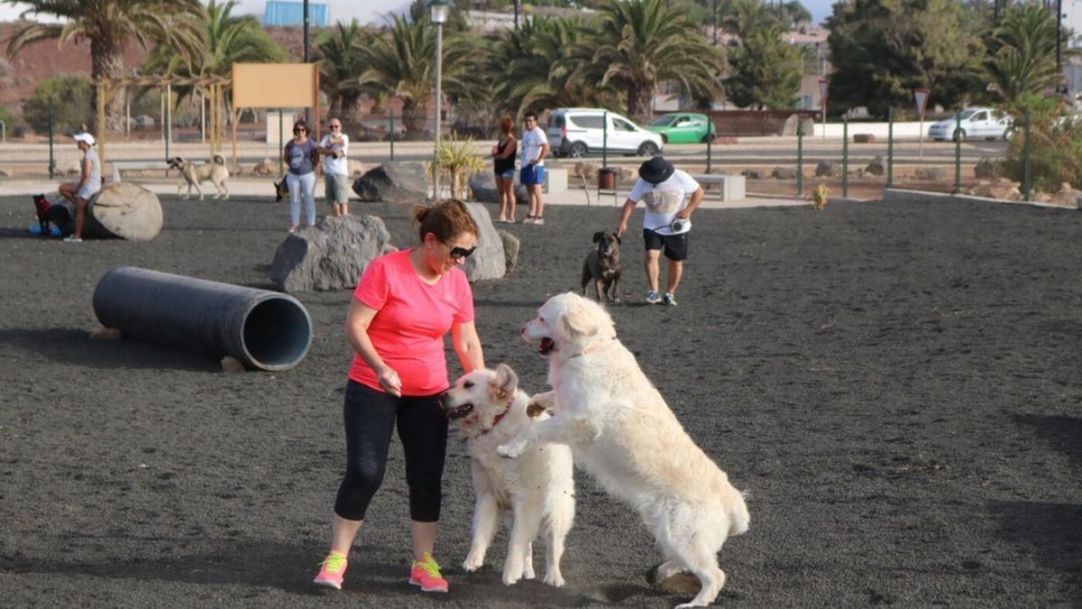 Perros en el Parque Canino de Playa Blanca, municipio de Yaiza.