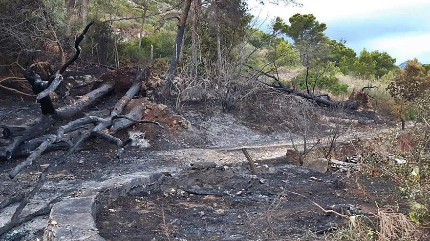 Zona de montaña de Llaurí afectada por los incendios.