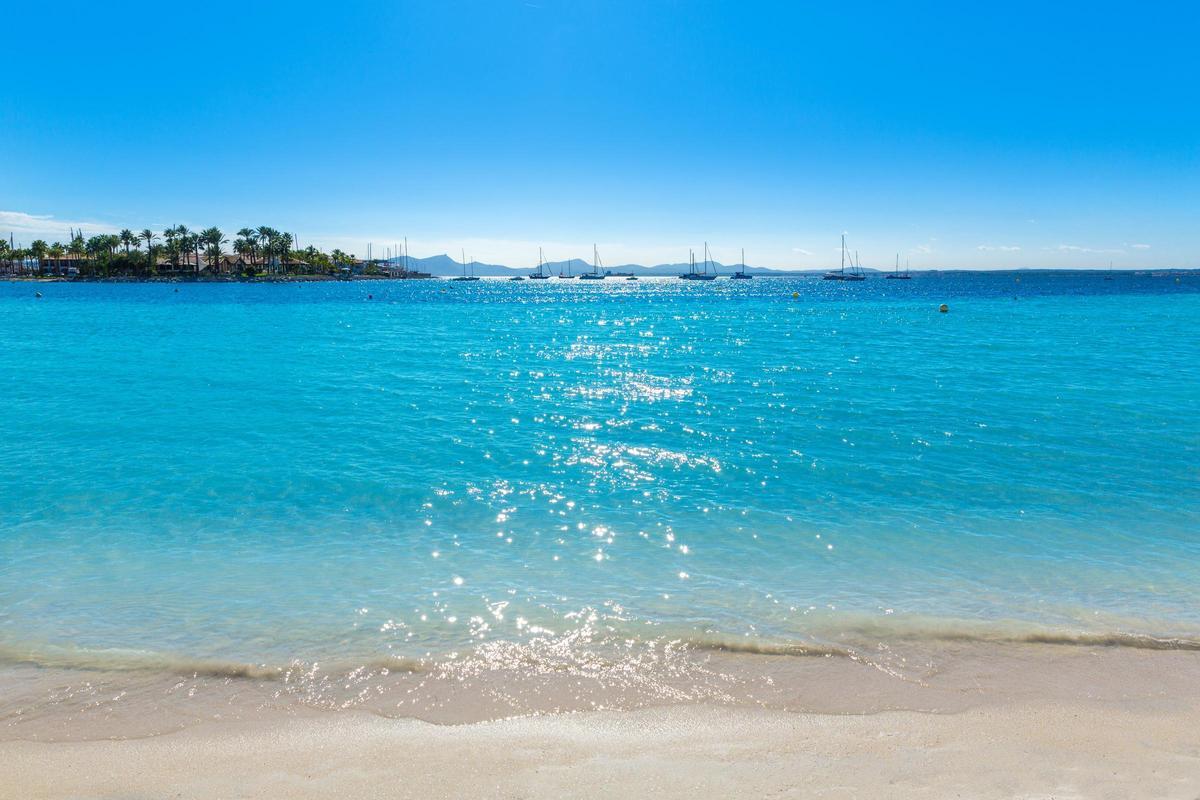 Platja d'Alcúdia