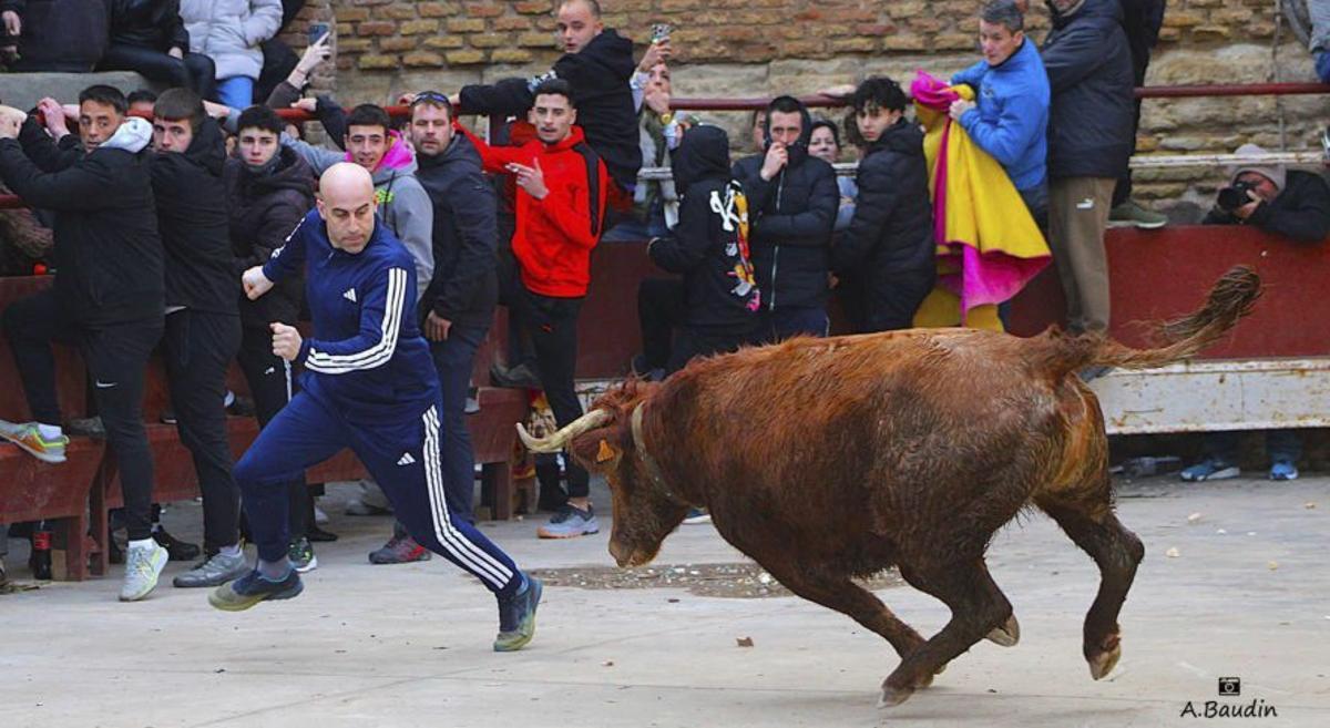 Suelta de vaquillas.  | A. BAUDÍN