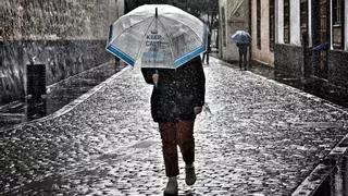 La granizada de este lunes daña una veintena de hectáreas de campos de cerezo en el término de Corbera d’Ebre