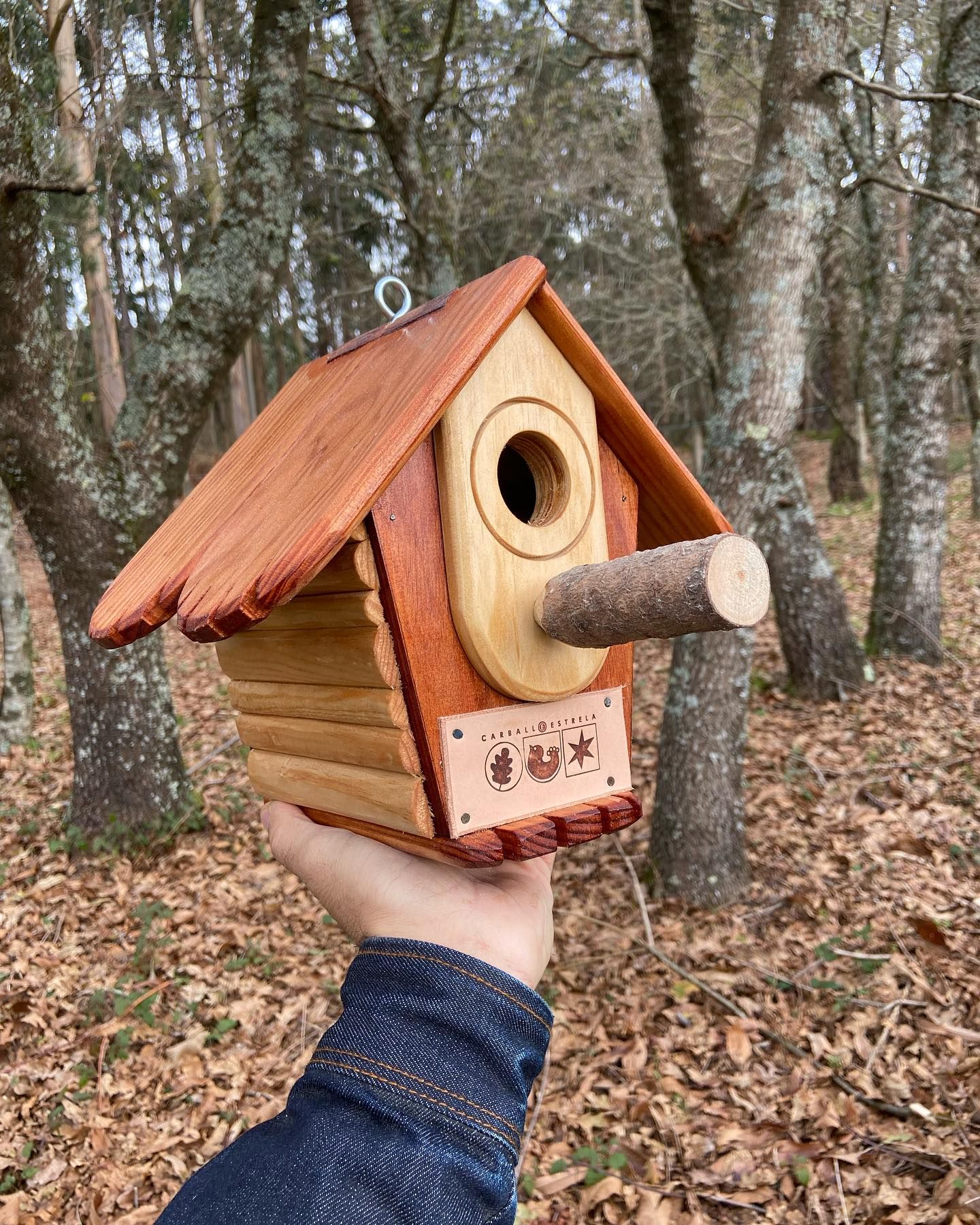 Luis Portabales en su refugio creativo rodeado de bosque con una de las casas-nido que elabora (4).jpg