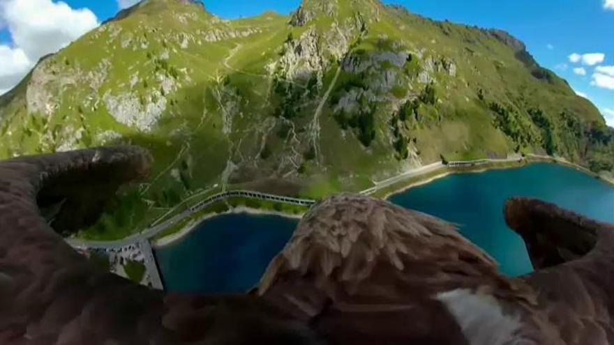 El deshielo de Los Alpes visto con los ojos de un águila