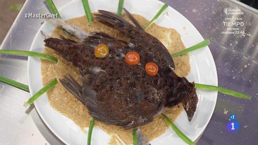 Un pájaro muerto en lo alto de un plato