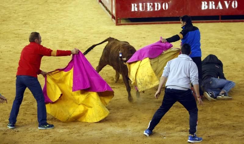 Suelta de vaquillas