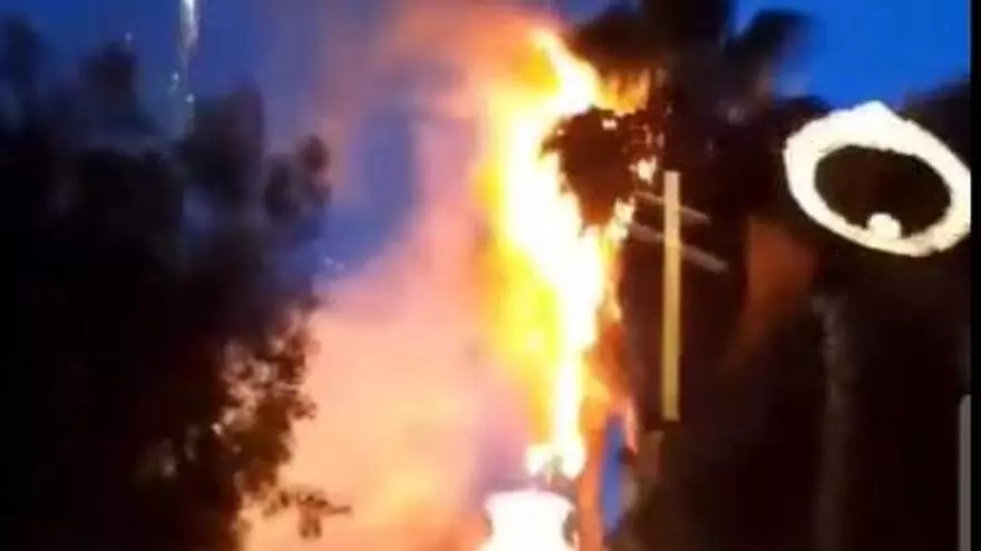 Arde una palmera tras dispararse unos fuegos artificiales en Carcaixent