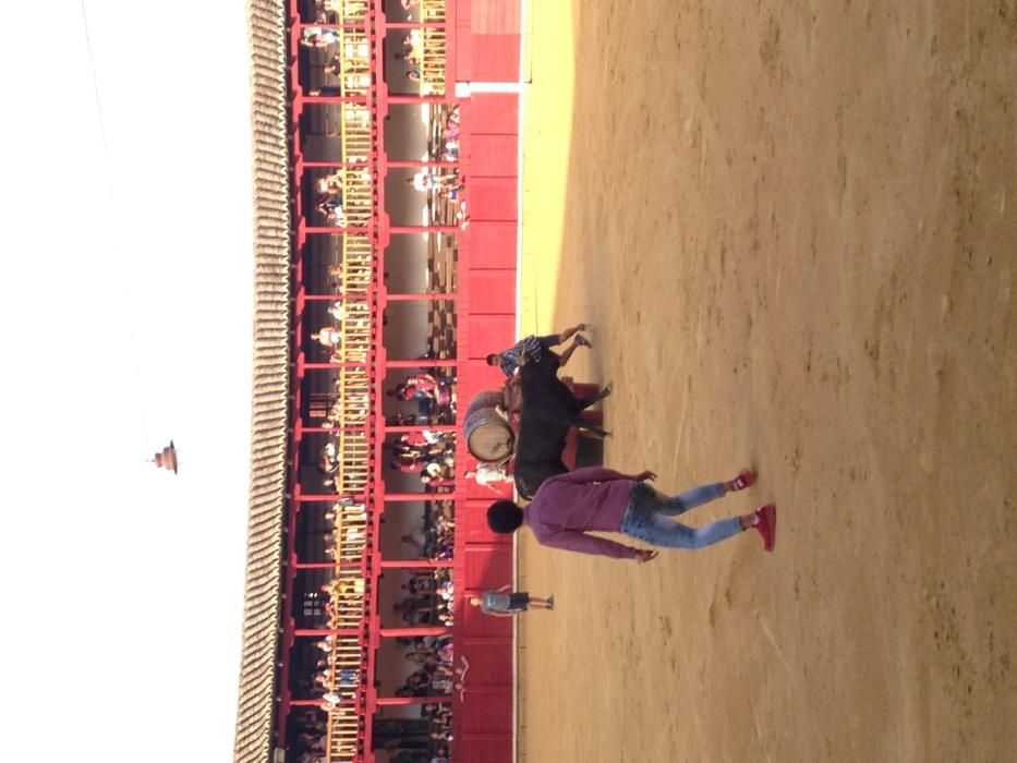 Fiestas Toro- concurso de jóvenes cortadores