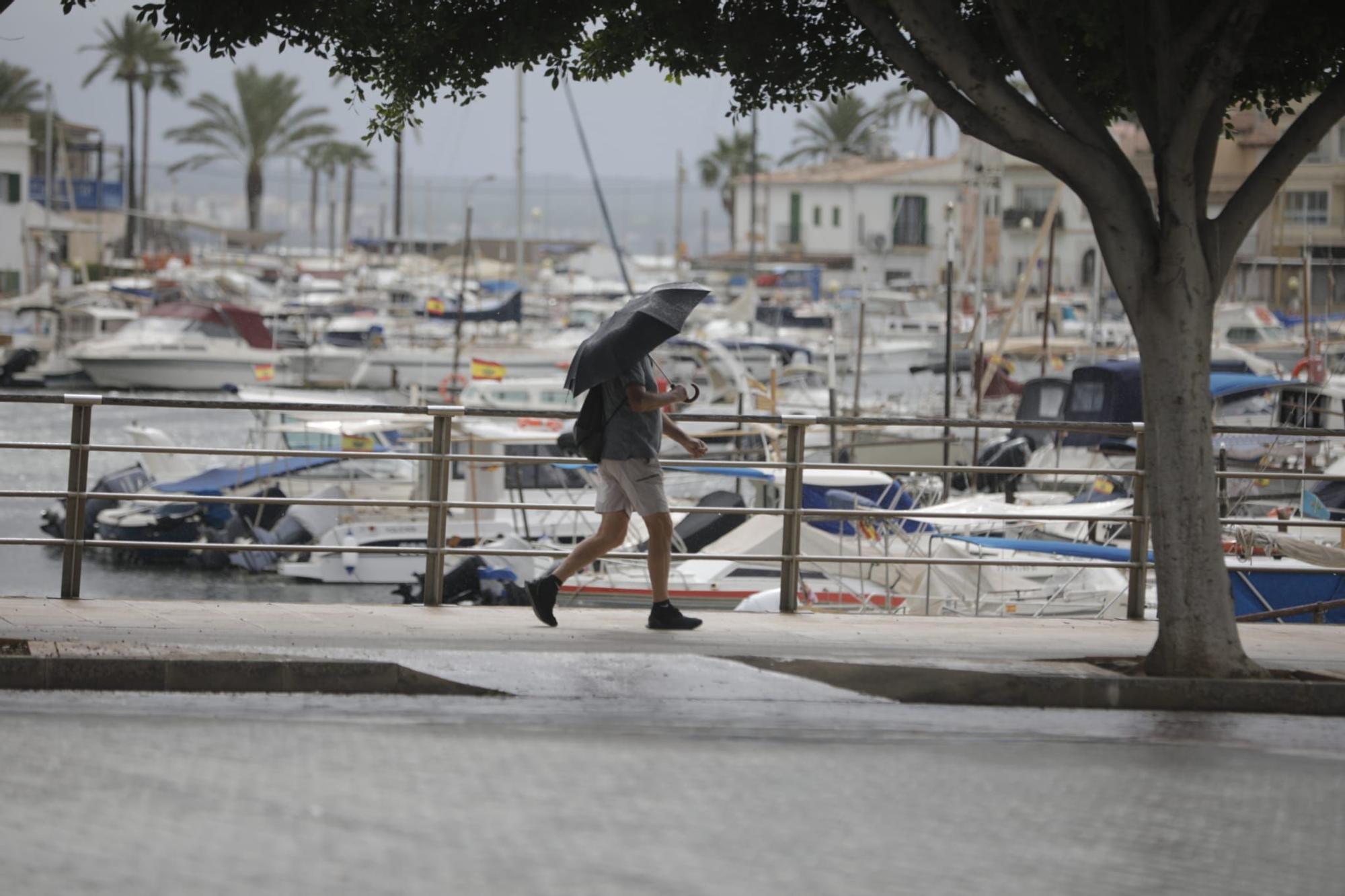 El tiempo en Mallorca: Alerta naranja por fuertes lluvias y tormentas