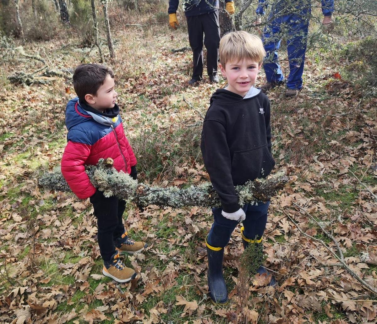 Varios menores durante la recogida de leña para encender la hoguera de San Amaro en Brandilanes.