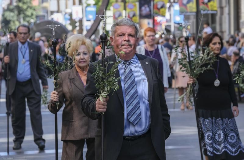 LAS PALMAS DE GRAN CANARIA. Procesión de la Burrita, Domingo de Ramos en la Ermita San Telmo.  | 14/04/2019 | Fotógrafo: José Pérez Curbelo