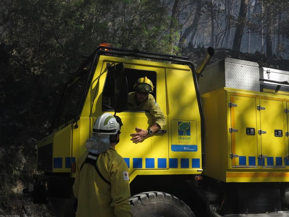 Waldbrand bei Puigpunyent