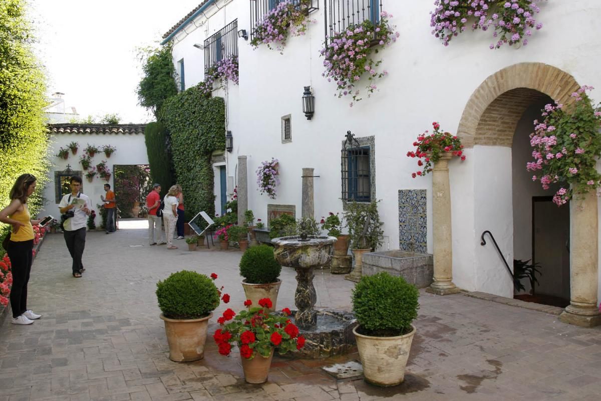 FOTOGALERÍA / Viana, un paseo con los cinco sentidos