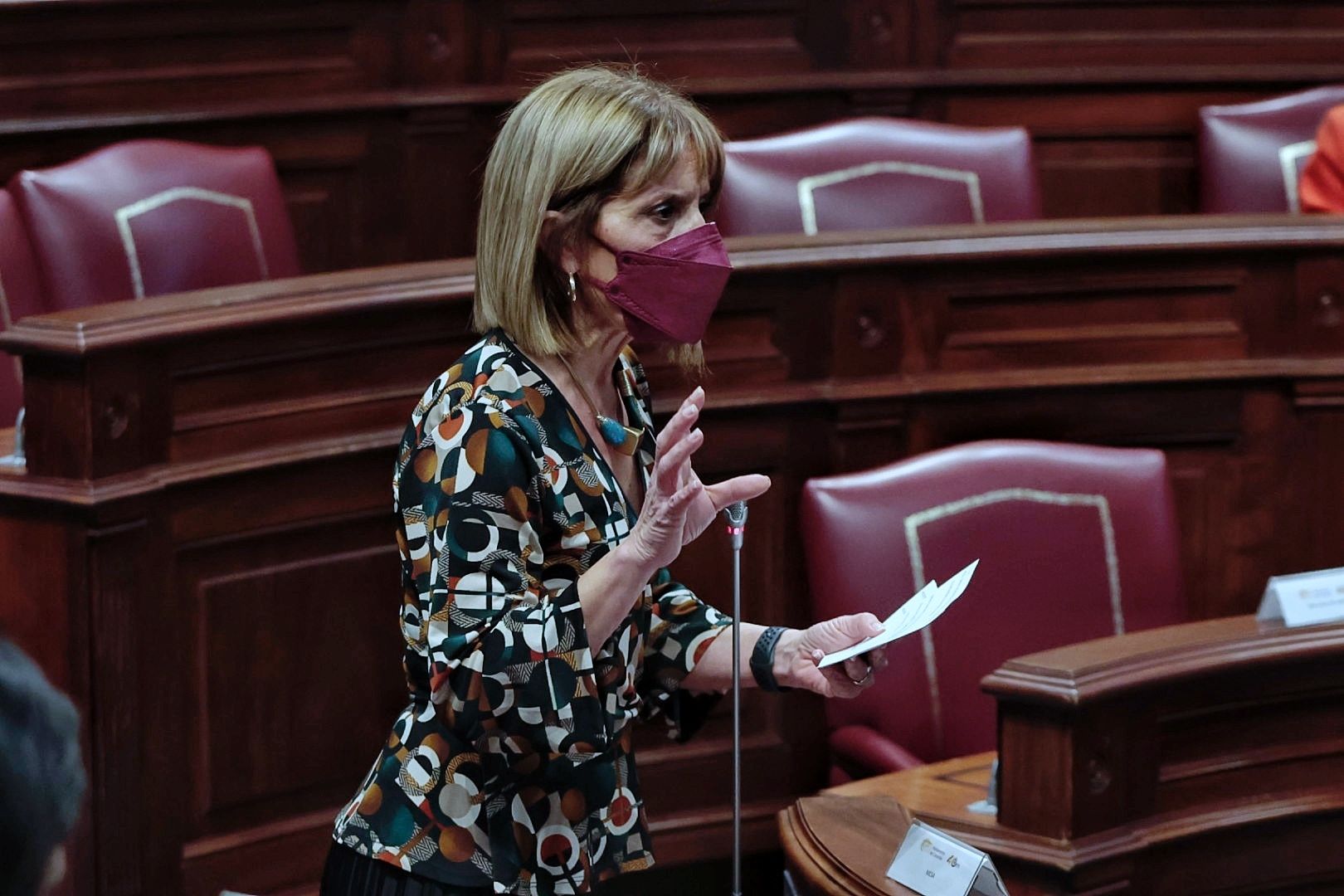 Pleno del Parlamento de Canarias (08/02/2022)