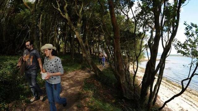 Un grupo de visitantes pasea por un sendero de la isla de Cortegada. // Iñaki Abella