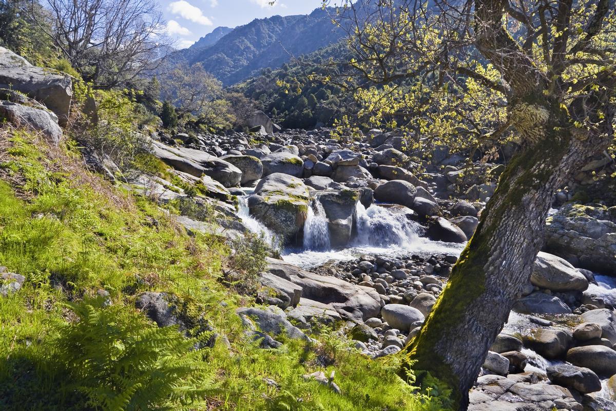 Sierra de Gredos