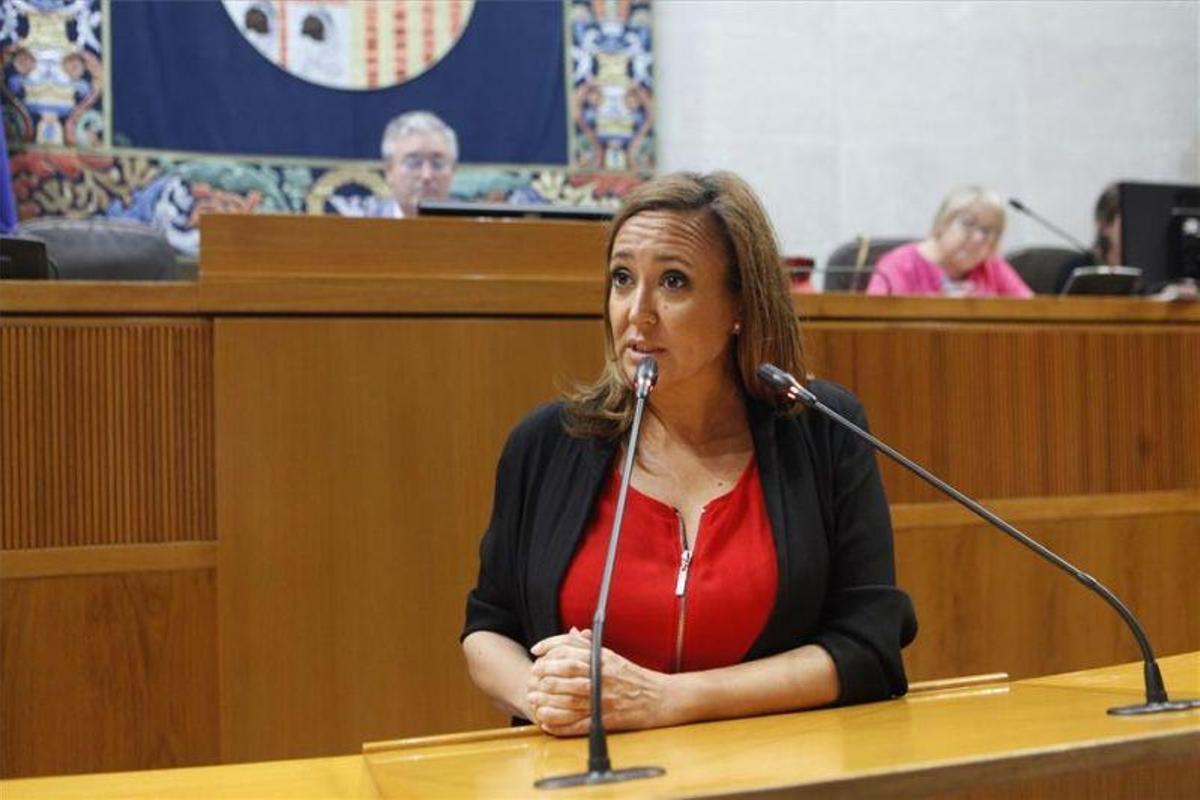 Aragón impulsa un protocolo contra el acoso escolar, también sexual y en redes