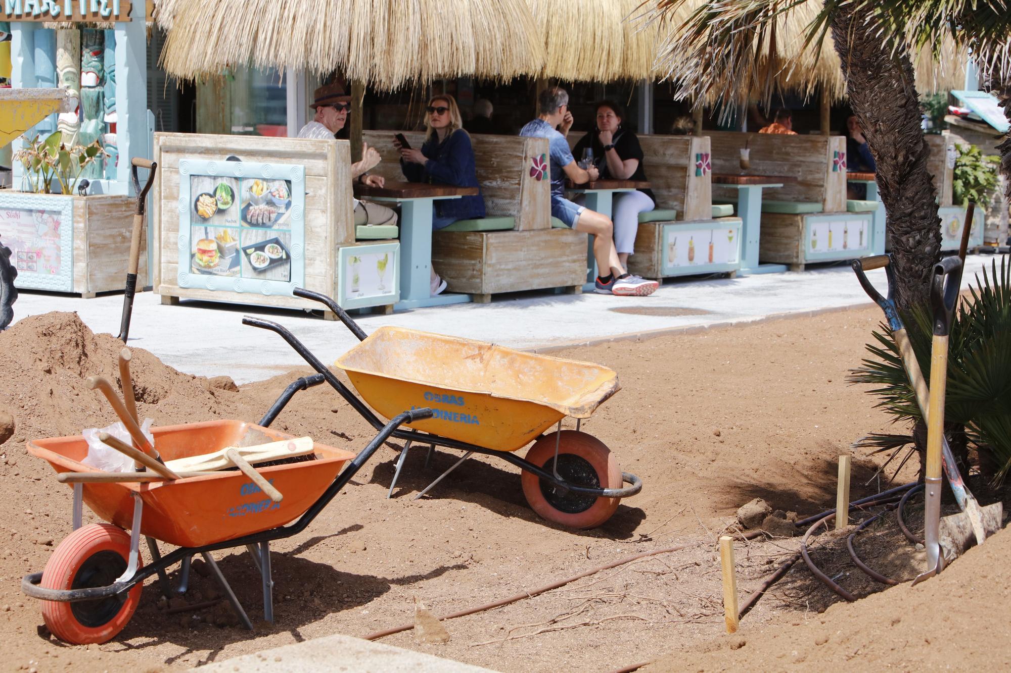 Frühlingsgefühle an der Promenade von Cala Ratjada