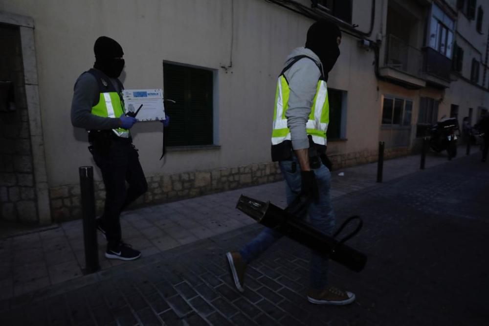 Redada antidroga en Verge de Lluc en Palma