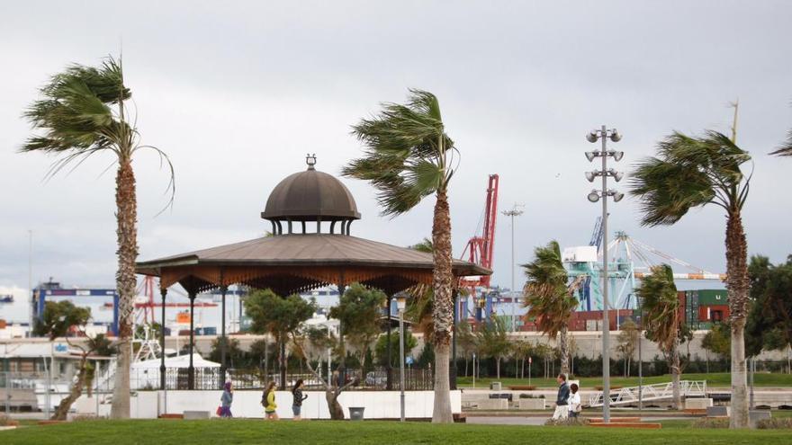 El tiempo en Valencia anuncia aún fuertes vientos.