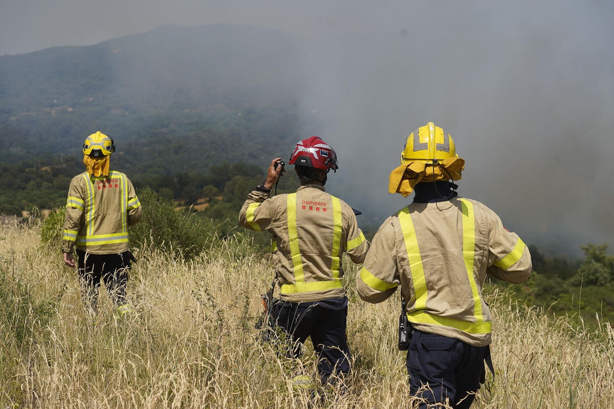 Girona zona boscosa font de la pólvora sant Daniel incendi forestal