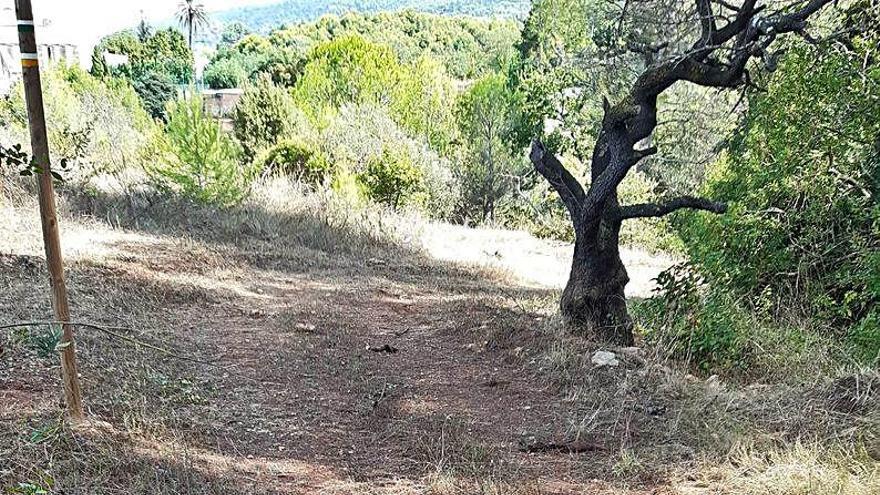 Intervenció en un dels camins de Castellví de Rosanes