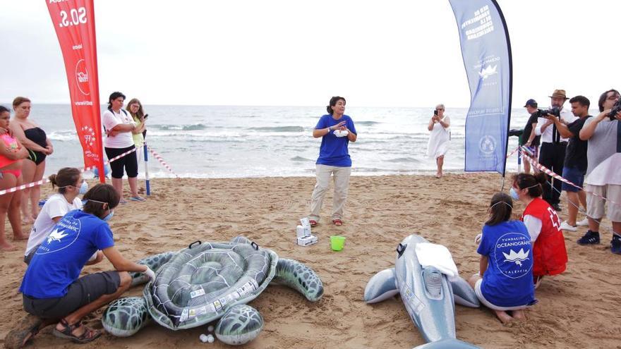 Oceanogràfic y Cruz Roja explican cómo tratar a un animal varado en la playa